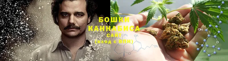 Бошки Шишки THC 21%  Карабаново 